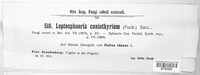 Leptosphaeria coniothyrium image
